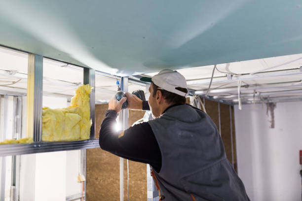 Best Insulation Maintenance and Repair in Red Oaks Mill, NY